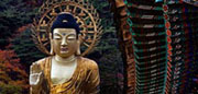 http://www.yoganesli.com/images/yoga-nedir/95871541.jpg