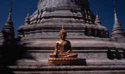 http://www.yoganesli.com/images/yoga-nedir/6025-000618.jpg